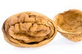 Free Walnuts  On  Isolated Royalty Free Stock Photo - 7834945