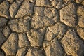 Free Natural Earth Patterns Stock Photo - 7835680