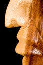 Free Wooden Nose Stock Photo - 7836250