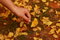 Free Leaves Everywhere Stock Images - 7833964