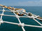 Free Boat Trip In Brasil Royalty Free Stock Image - 7835486