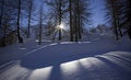 Free Shadows On The Snow Royalty Free Stock Photos - 7844008