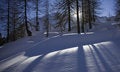 Free Shadows On The Snow Royalty Free Stock Images - 7844189