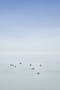 Free Calm Ocean Horizon Royalty Free Stock Images - 7847379