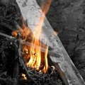 Free Embers Texture, Wood In Fire Royalty Free Stock Photos - 7848308