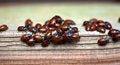 Free Ladybugs Stock Photography - 7849702