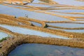 Free Rice Terrace Royalty Free Stock Images - 7857509