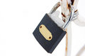 Free Cast Iron Lock Royalty Free Stock Photography - 7858547