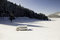 Free Winter Forest.. Stock Photography - 7856092