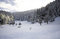 Free Winter Forest... Royalty Free Stock Photos - 7856108