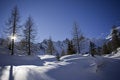 Free Shadows On The Snow Royalty Free Stock Photography - 7868117