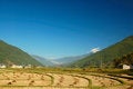 Free Circular Field Royalty Free Stock Photography - 7869917