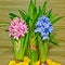 Free Hyacinths In Dew Stock Photos - 7860753