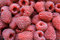 Free Raspberries Stock Images - 7861304