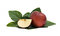 Free Apple And Its Peace Royalty Free Stock Images - 7862109