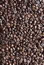 Free Coffee Bean Texture Stock Photo - 7870130
