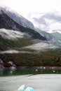 Free Tracy Arm Fiord Stock Photos - 7876733