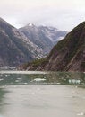 Free Tracy Arm Fiord Royalty Free Stock Photos - 7876748