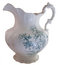 Free Green Floral Pitcher Royalty Free Stock Photo - 7873585