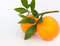 Free Oranges Royalty Free Stock Photos - 7878118