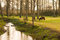 Free Pony Grazing In Rural Setting Stock Photos - 7889463