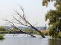 Free River Irpen Royalty Free Stock Photos - 7896198