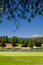 Free A Gorgeous Golf Course In Arizona Royalty Free Stock Photography - 7892967