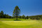 Free Golf Hole In Arizona Stock Photography - 7893052