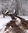 Free Winter Road Royalty Free Stock Photo - 7895365