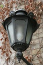 Free Lamp Post Light Stock Image - 791241