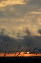 Free Setting Sun Stock Photography - 793462