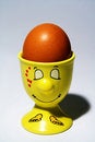 Free Egg In Egg-cup Royalty Free Stock Image - 794106