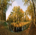 Free Canal In The Park Royalty Free Stock Photography - 794507