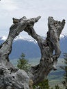 Free A Natural Frame Stock Images - 795944