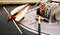 Free Rusty Boat Anchor And Chain Royalty Free Stock Photo - 799755