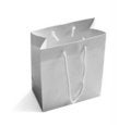Free White Shopping Bag Stock Image - 7904711