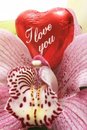 Free Valentine Stock Photo - 7906590