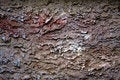 Free Plaster Wall Stock Image - 7912411