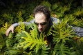 Free Businessman In Bushes Stock Photo - 7916780