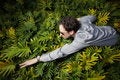 Free Man Swimming Through Bushes Royalty Free Stock Image - 7916796