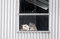 Free Two Kittens In A Window Stock Image - 7916371