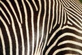 Free Stripes Stock Image - 7929561