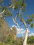 Free Australian Landscape Stock Photography - 7922332