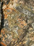 Free Stony Pattern Background Royalty Free Stock Image - 7922346