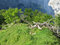 Free Green Alpine Slope Royalty Free Stock Photo - 7922395