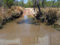 Free Dirt Road With A Deep Puddle Stock Images - 7922584