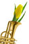 Free Yellow Tulip In Gold Trumpet Romantic Valentine Stock Images - 7924864