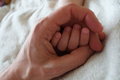 Free Hand In Hand Royalty Free Stock Photos - 7935498