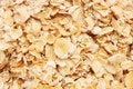Free Oats Royalty Free Stock Images - 7935499
