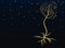 Free Abstract Tree Stock Photography - 7935792